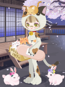 ゆこたん