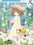 ひまわり