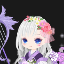 nokko
