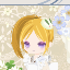 夏結女