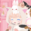 よのにゃんこ