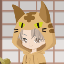 tatami